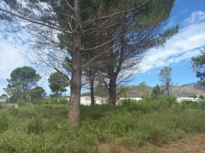 0 Bedroom Property for Sale in Fisherhaven Western Cape